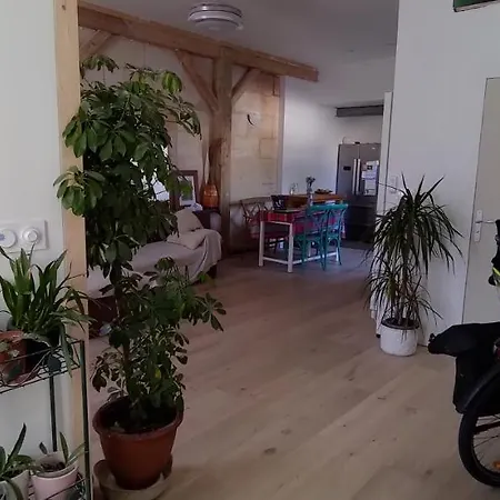 B&B Belle Sur Terrasse A 3 Min De La Gare 보르도